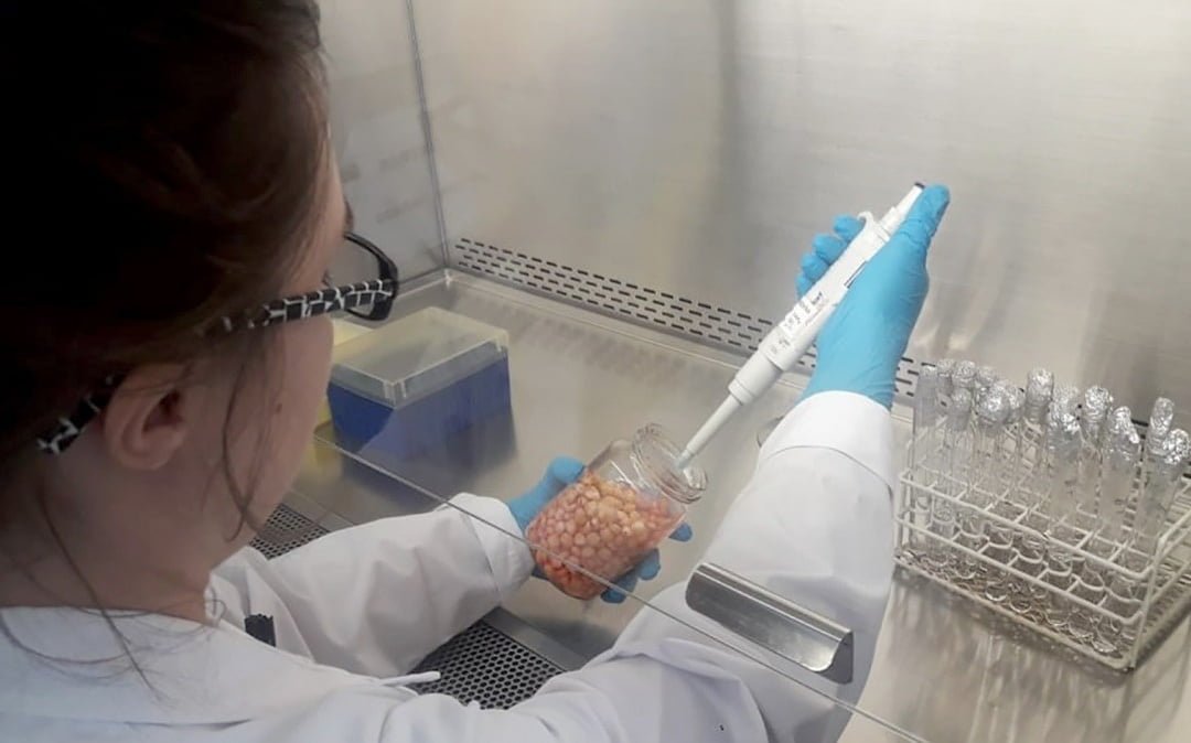 Senasa actualiza sus laboratorios para fortalecer la seguridad alimentaria