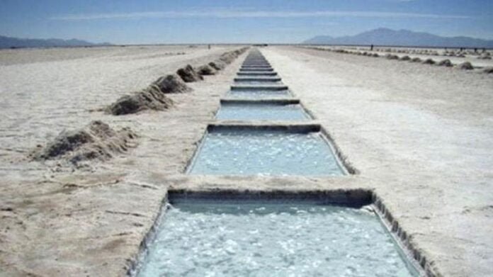 Quintela ratificó la apuesta del gobierno al litio