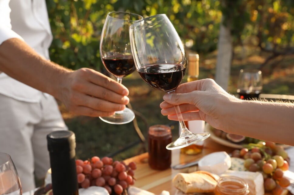 Con gran cantidad de profesionales nacionales e internacionales, realizaron las III jornadas de Turismo del Vino