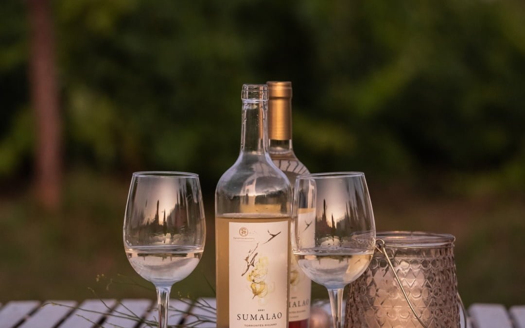 Bodegas de Chilecito y Famatina fueron distinguidas por Nación