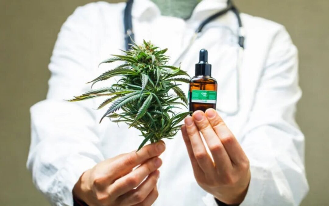 Avanzan en la creación de una diplomatura para la prescripción del Cannabis Medicinal