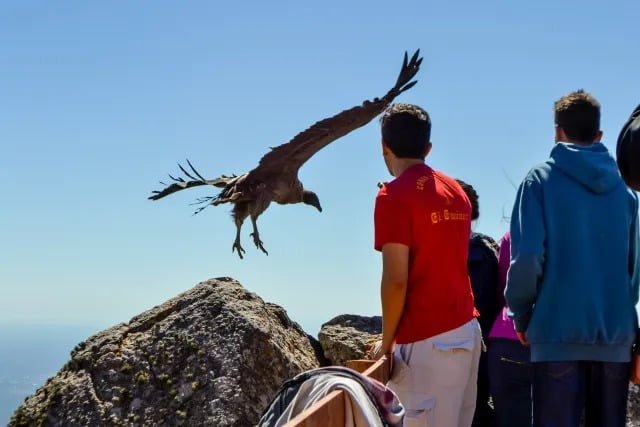 Crece el turismo educativo en nuestra provincia según la Cámara de Turismo