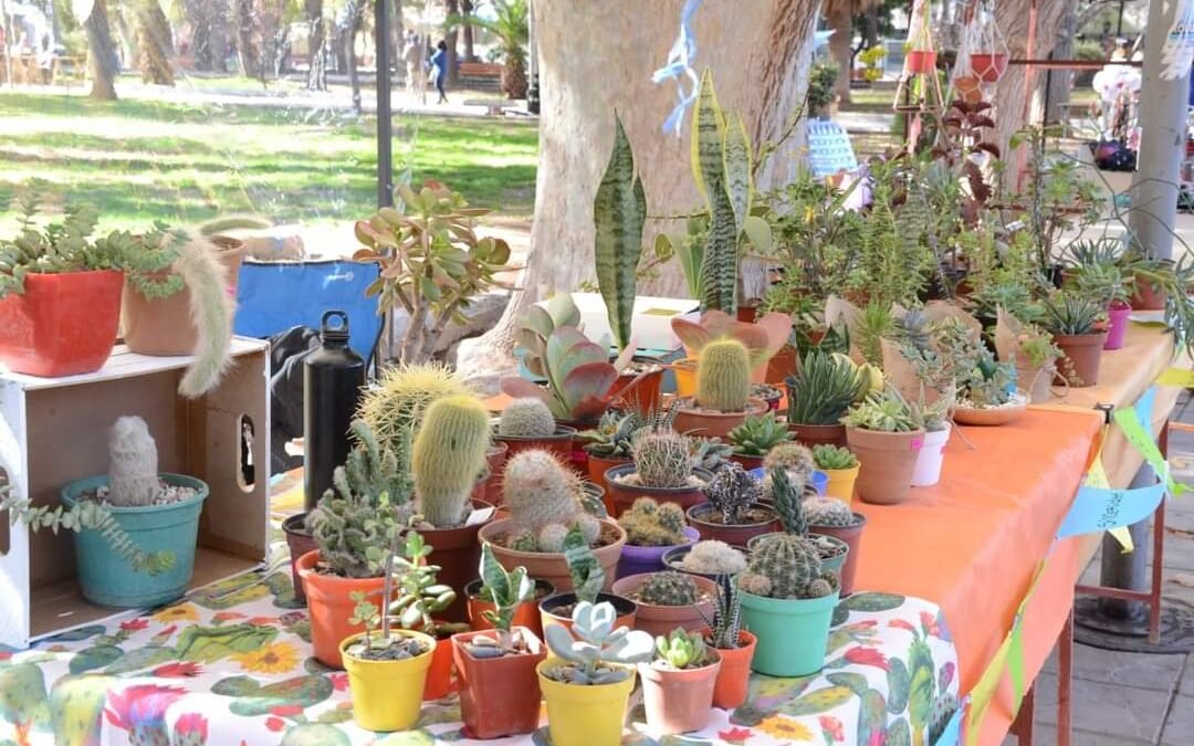 Emprendedores y artesanos se reúnen en la Feria Popular de Plaza Principal