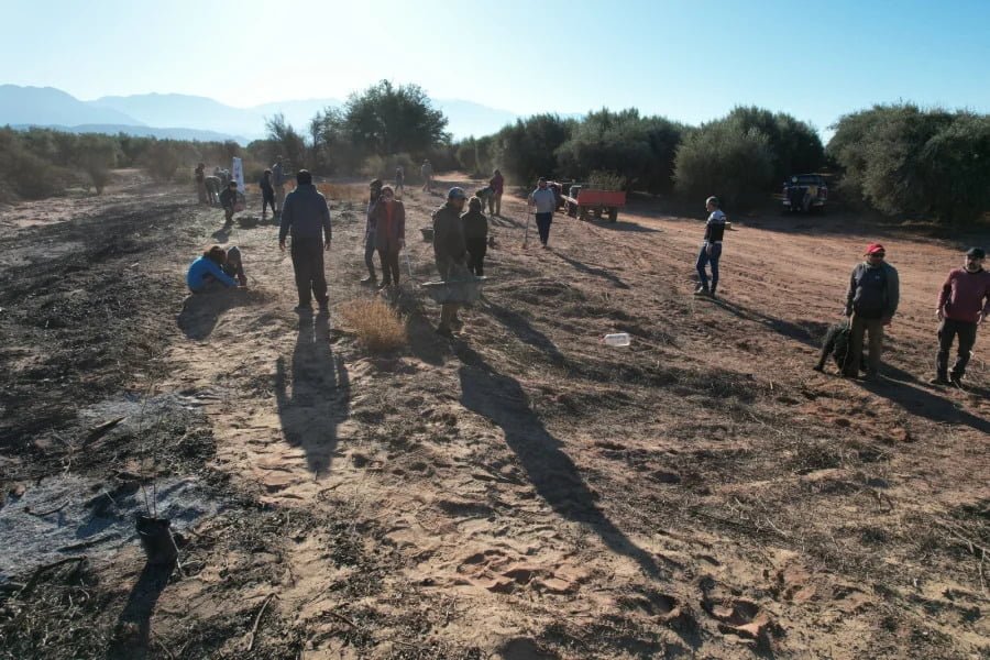 Valle de La Puerta y la comunidad de Vichigasta reforestaron en pos de la conciencia ambiental