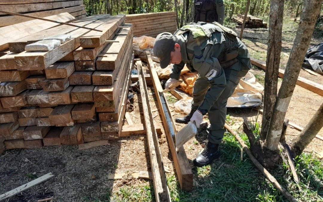 Misiones: Gendarmería encontró vigas de madera con más de dos toneladas de marihuana ocultas