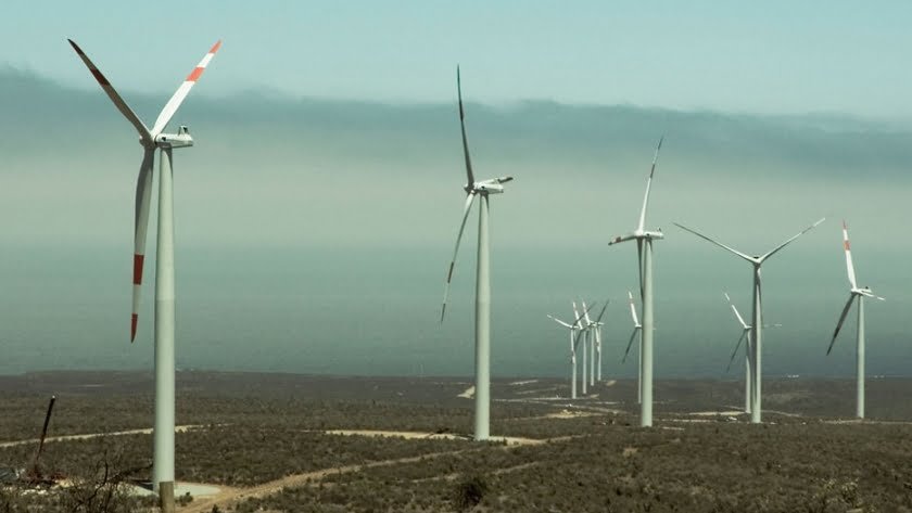 Parque Eólico Arauco generará energías limpias utilizando carozos de aceitunas