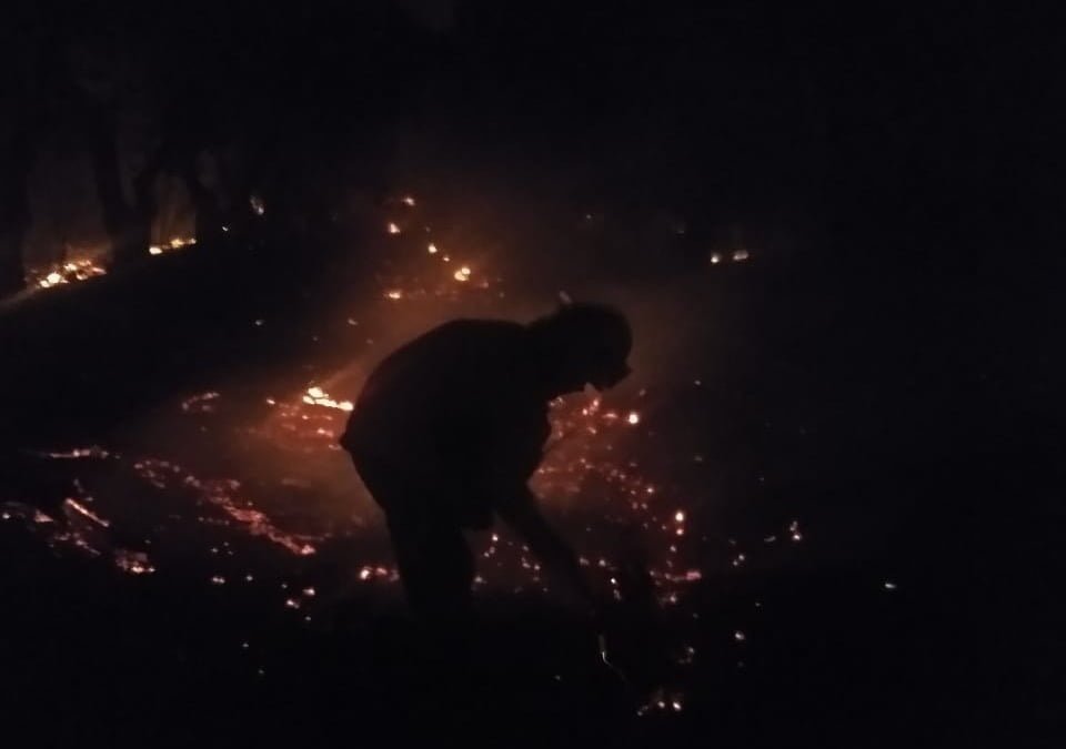 Bomberos sofocaron incendio en una finca de Anguinán
