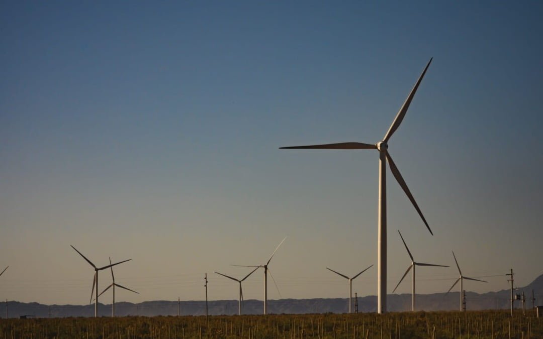 Parque Eólico y Cerdo de los Llanos articulan para generar energía limpia y renovable