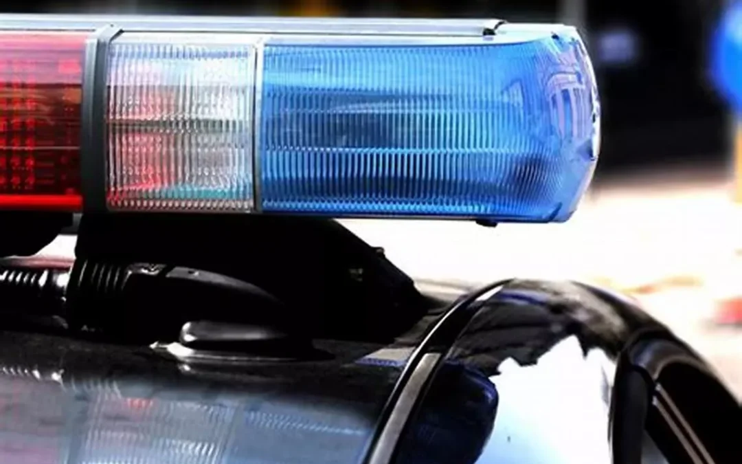 Policía detectó gran cantidad de estupefacientes mientras hacían requisa a vehículo en Ruta 40 por causa de robo