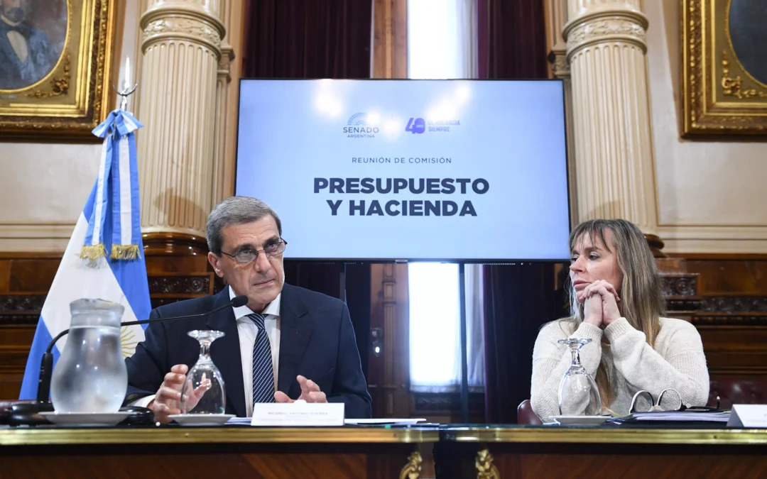 Comisión de Hacienda y Presupuesto del Senado dictaminó el proyecto de devolución de IVA