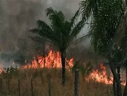 Poblados indígenas amazónicos en Bolivia afectados por incendios forestales