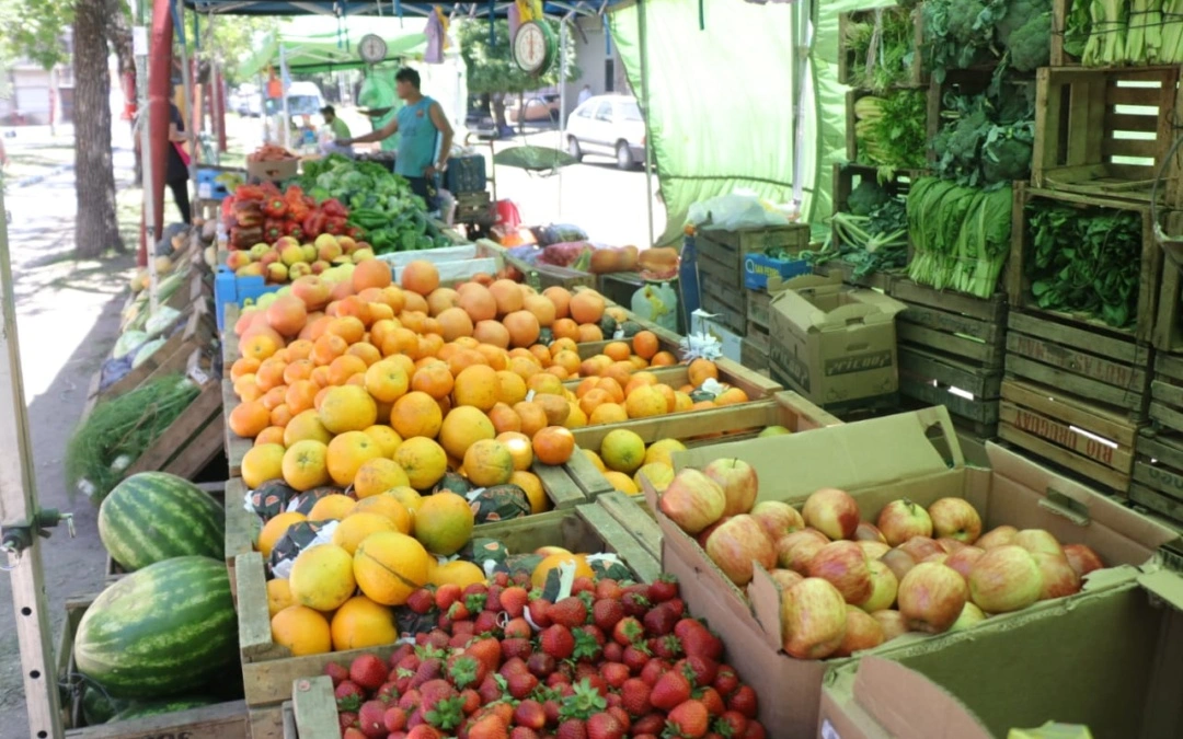 Hoy Feria Itinerante en el Palacio Municipal
