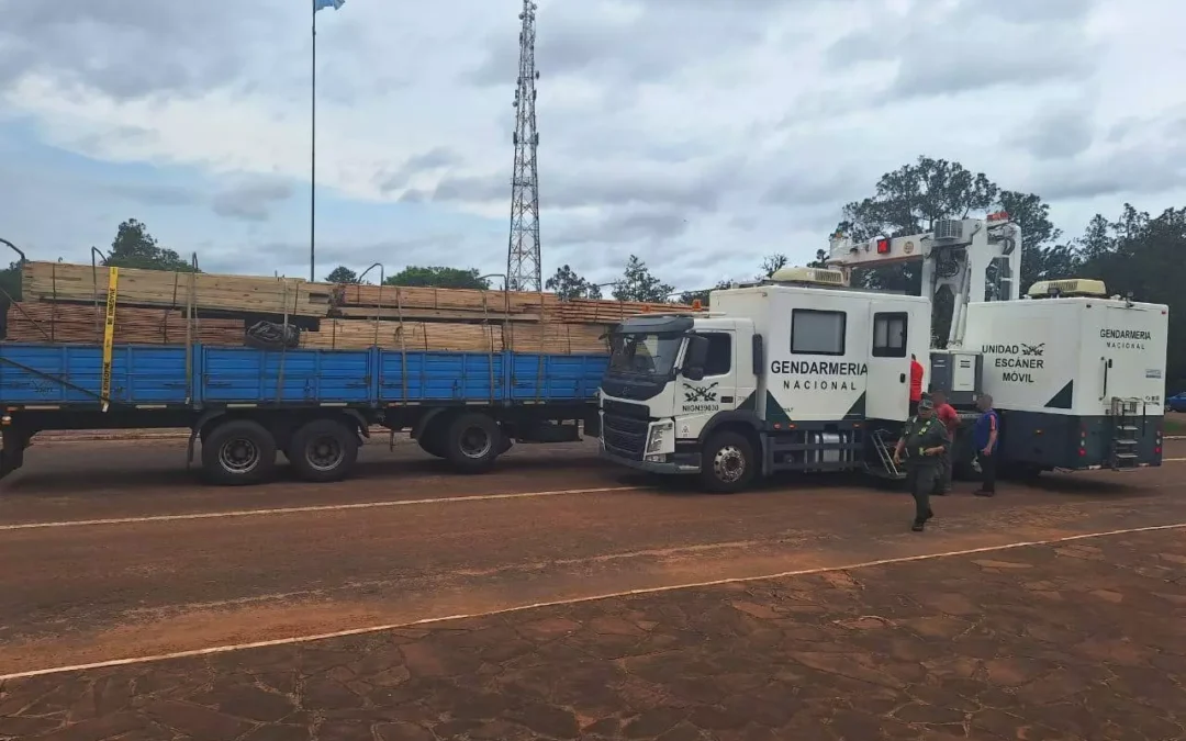 Misiones: Gendarmería detectó más de 6 toneladas de marihuana en un camión que trasladaba madera