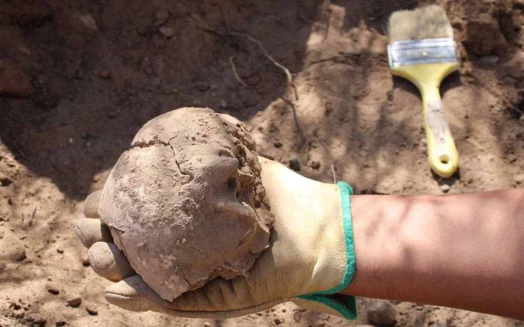 Chilecito: Docentes y alumnos encontraron restos óseos con 800 años de antigüedad