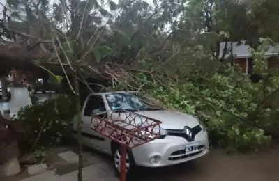 Vecinos de Bahía Blanca relatan en primera persona los destrozos del temporal