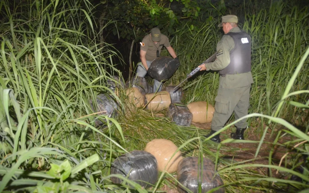 Misiones : Gendarmería encontró mas de 300 kg de marihuana durante una patrulla en la selva