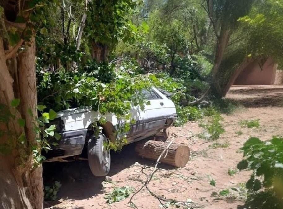 Fuertes vientos golpearon el camping el Bosquesillo en Sañogasta