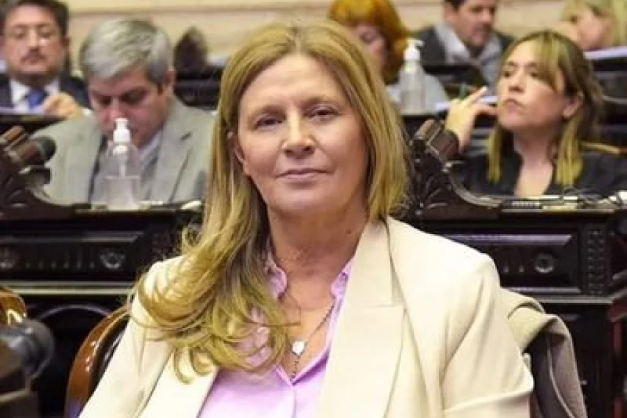 Diputada denunció la aprobación apresurada de dictámenes para la misma ley ómnibus, «que beneficia a grandes grupos, y compromete a trabajadores y jubilados»