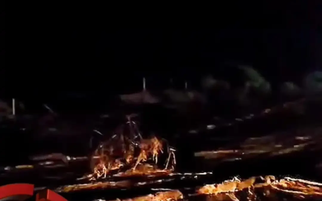 Río Trinidad entre Vichigasta y Nonogasta:  El puente se desbordó y atraviesa la ruta con ramas y piedras