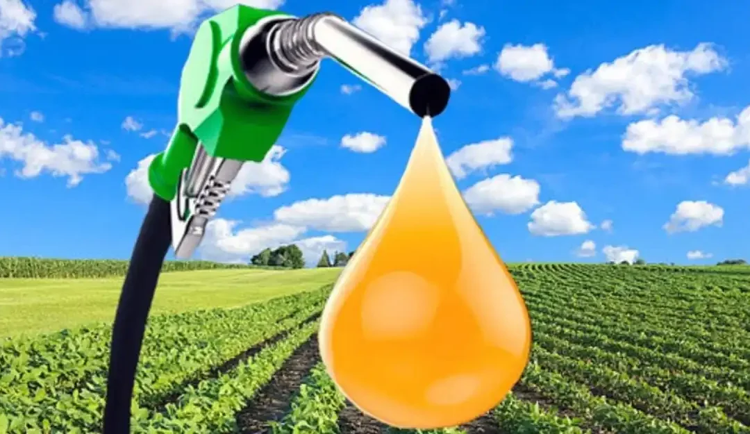 Pymes de biodiesel denuncian que  la ley ómnibus  las condena a desaparecer y amenazan con un tractorazo al Congreso