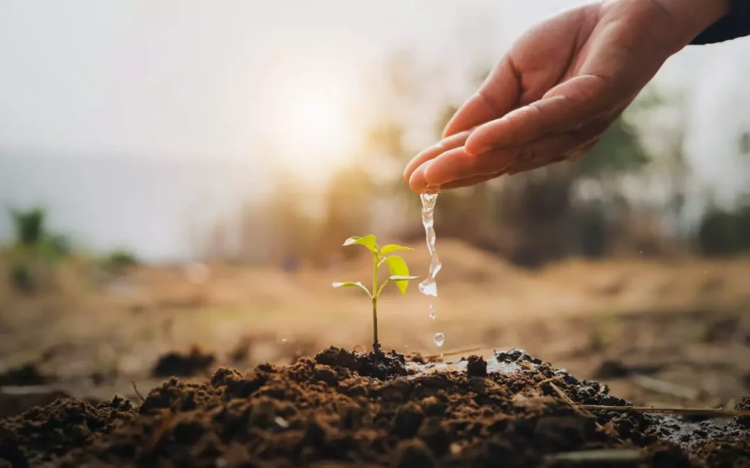 Llevarán adelante obra de conducción de agua para riego desde Sañogasta a Nonogasta