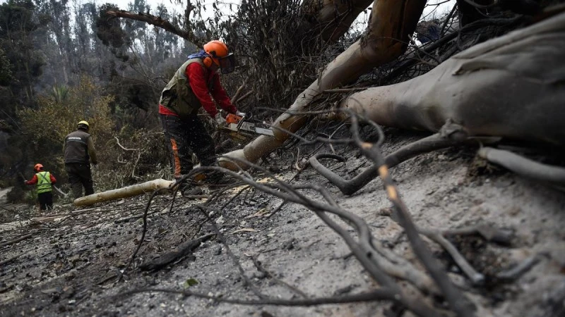 Chile: Casi 2mil bomberos trabajaron para sofocar feroces incendios en Valparaíso, que dejaron un saldo de 131 fallecidos, y 15mil viviendas afectadas