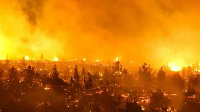 Horas de terror en Chile: 46 muertos y miles de evacuados por incendios incontrolables