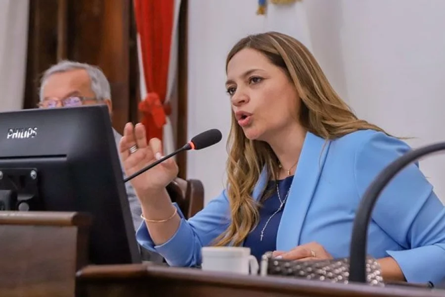 La vicegobernadora cuestionó la decisión de Nación de no enviar el incentivo docente, y aseguró que «hoy la prioridad son los salarios»