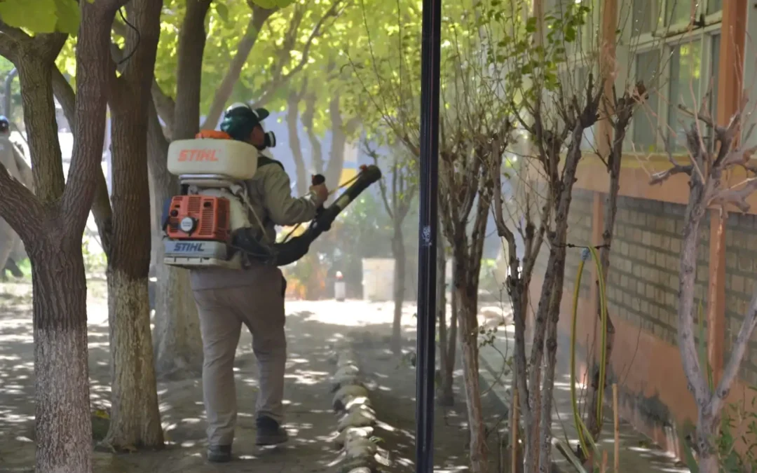 Prevención: Fumigación en establecimientos educativos del departamento