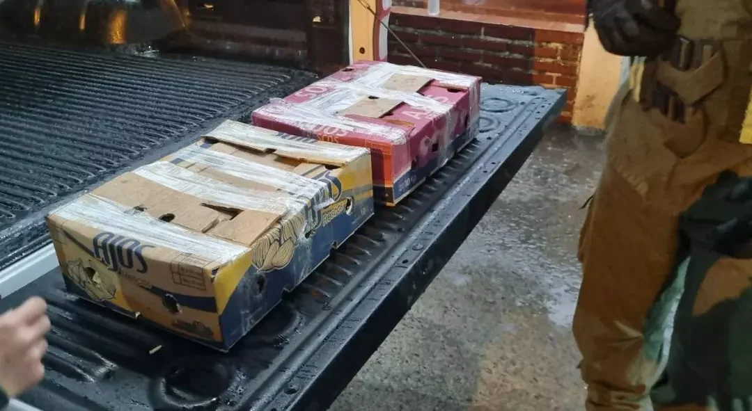 Gendarmería encontró cinco monos encerrados dentro de cajas, durante la inspección de una camioneta en Formosa