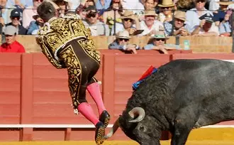Colombia: Manifestantes se movilizaron frente a la Plaza de Toros en Bogotá, luego de que el Congreso colombiano aprobara una Ley que prohíbe las corridas de toros