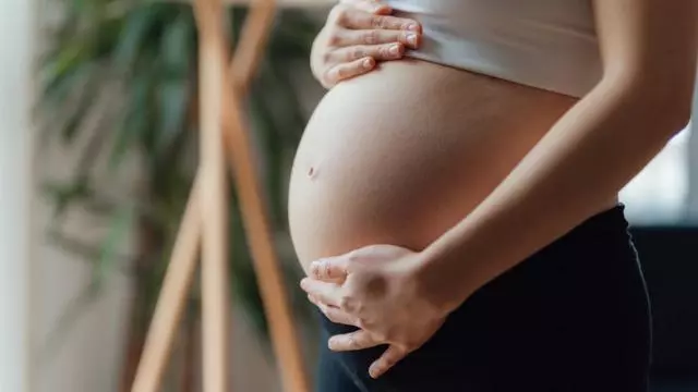 Remarcan la importancia de promover la salud mental materna