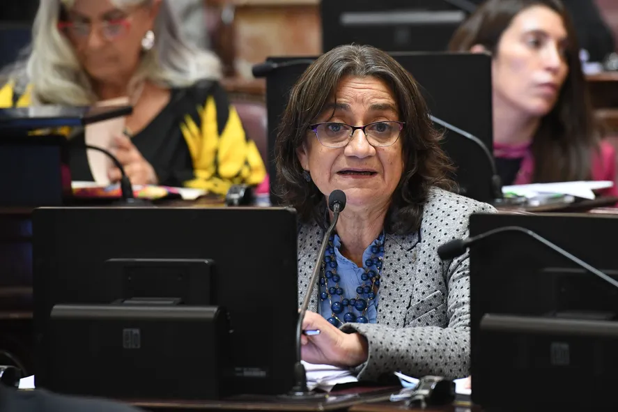 Corpacci cuestionó a los senadores que “le darán facultades delegadas a alguien que cree que viene de un futuro apocalíptico… ¿le vamos a dar facultades delegadas a alguien que dice que es Terminator?”