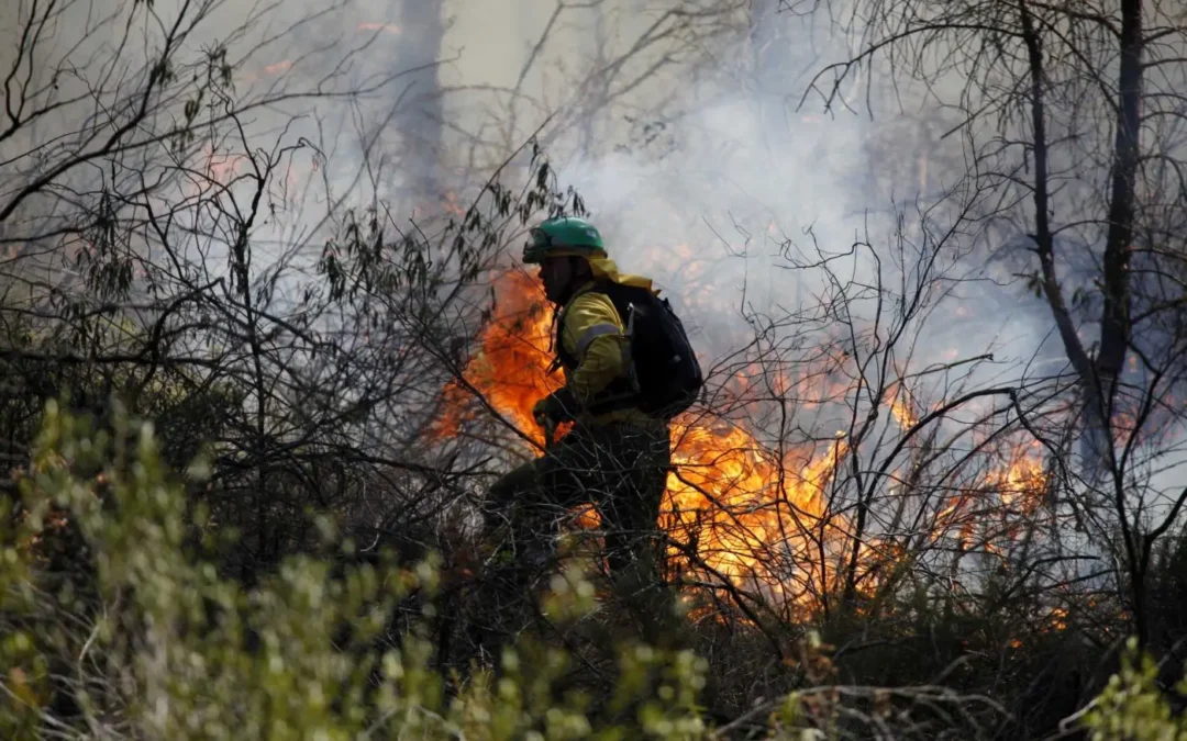 Durante la madrugada del jueves, Bomberos debieron combatir un incendio de gran magnitud en Guanchin