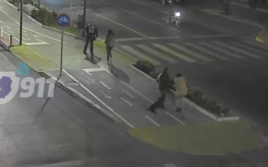 Córdoba: Policía detuvo a un hombre que intentó robarle el perro a una mujer en pleno centro mientras lo paseaba