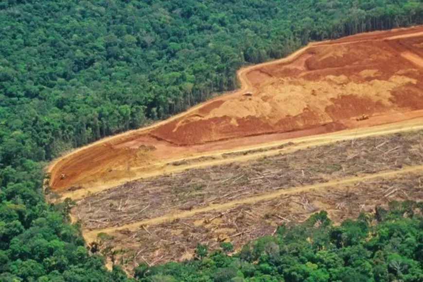 La deforestación de la Amazonía brasileña registró el primer aumento en 15 meses, con una superficie de 666 kilómetros cuadrados destruidos en julio