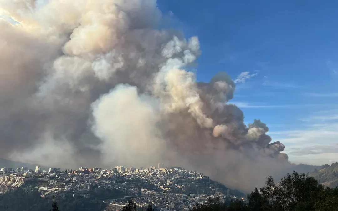Ecuador: Cinco incendios forestales simultáneos causan estragos en Quito. El presidente advirtió que procesarán a los autores por terrorismo, en caso que se compruebe que fueron intencionales