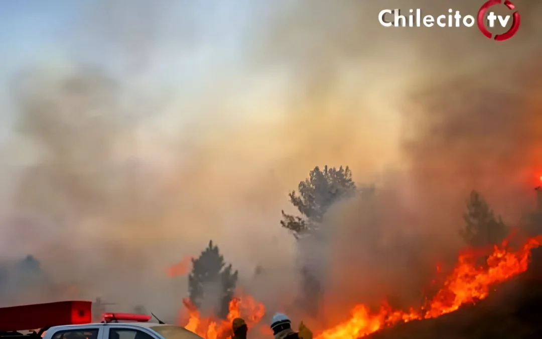 Córdoba: Segundo día de combate a los incendios en Calamuchita, el lugar de mayor gravedad con tres focos activos en la zona