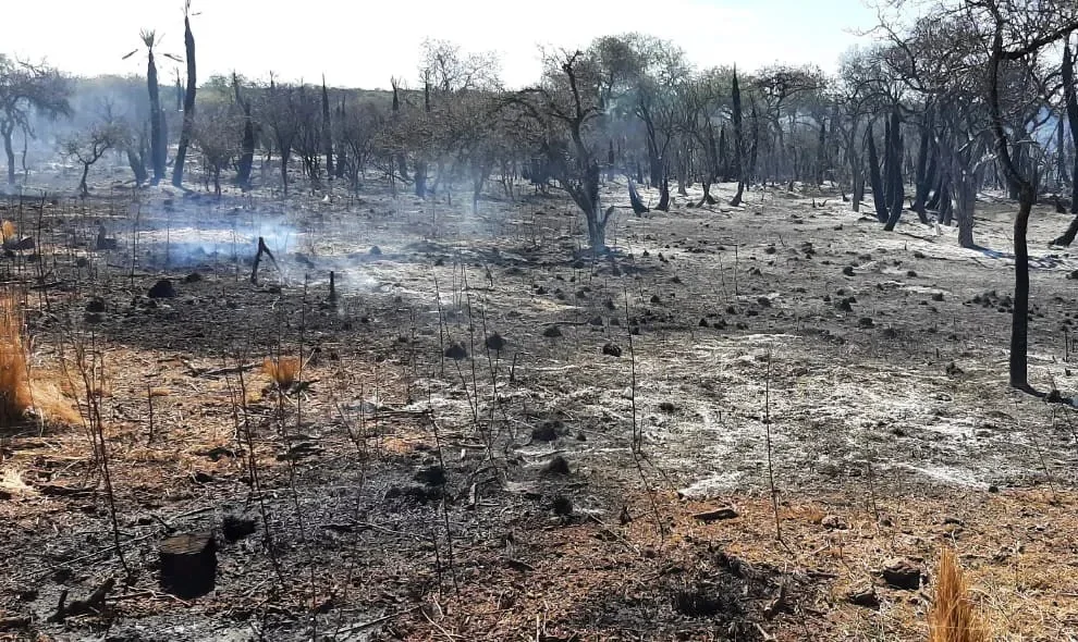 Llaryora negó que haya intereses inmobiliarios tras los incendios de Córdoba: «Más allá de que ocurran incendios, no se puede cambiar el uso de la tierra»