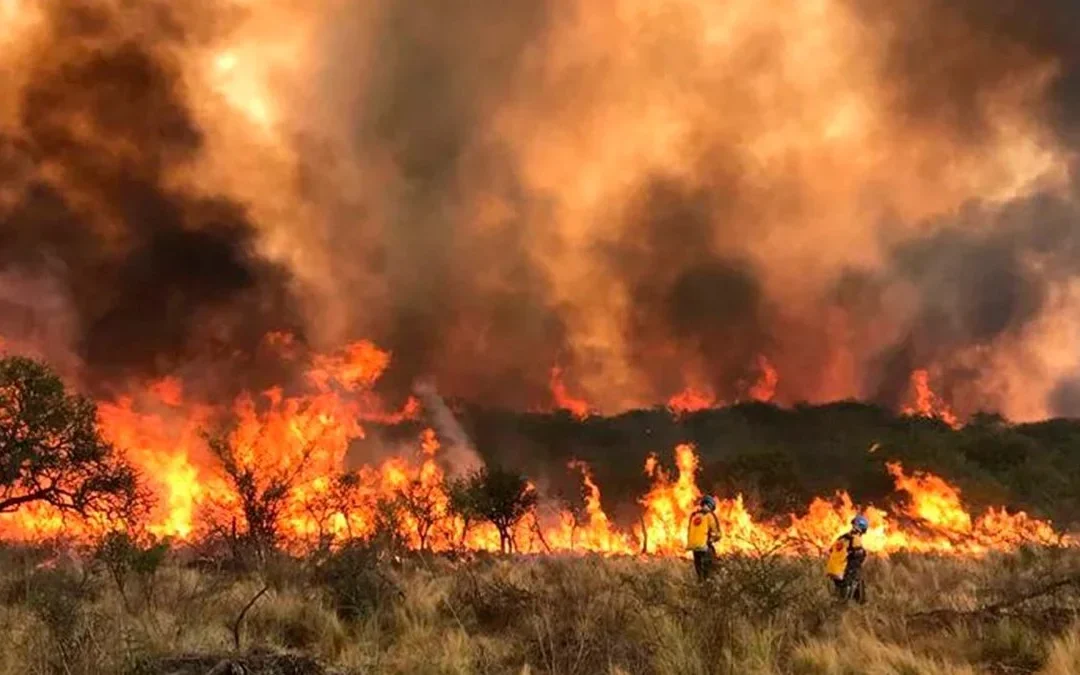 Continúan los incendios en Córdoba: La ruta 38 está cortada, y hay viviendas en riesgo en San Esteban