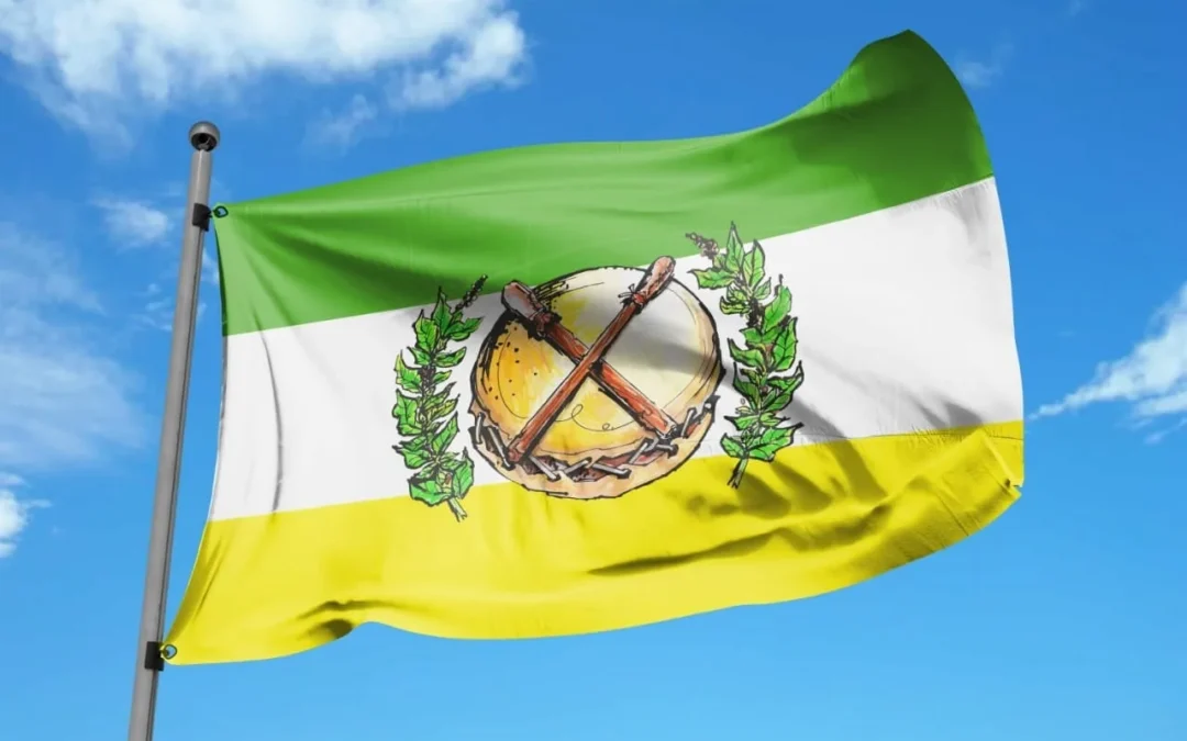 Este miércoles se hará en la Capital, la presentación oficial y el primer izamiento de la «Bandera de la Chaya» como estandarte oficial, tras la aprobación del proyecto del Diputado chileciteño Claudio Ruiz