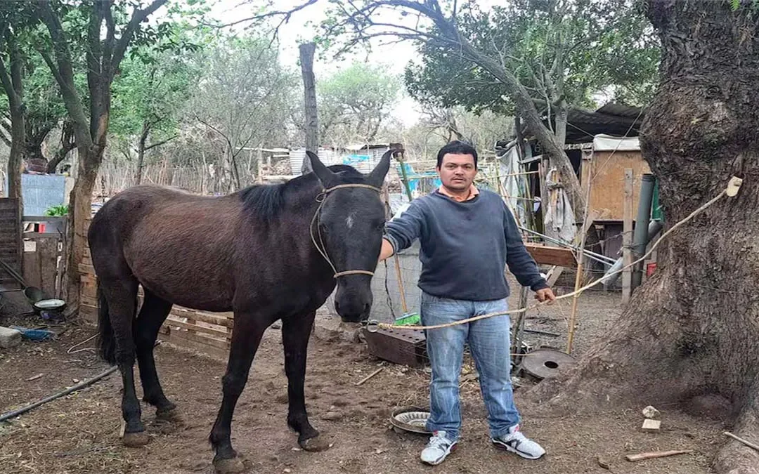 El acusado de provocar incendios en Córdoba se defendió: «Nunca agarré un bidón ese día», aseguró, y explicó que estaba yendo con su caballo a ayudar a su patrón a sofocar el fuego