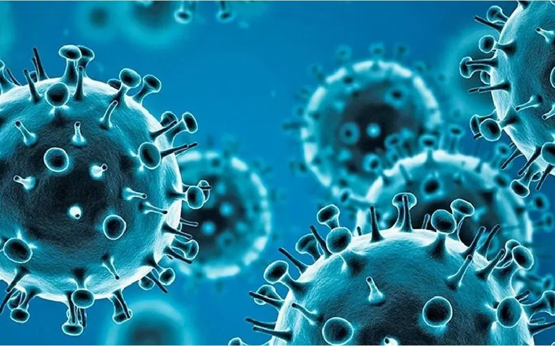 Infectólogo explicó los peligros de la Influenza B, el virus que mató a la niña de 13 años que regresaba de un viaje de estudio, y recomendó mantenerse hidratado, hacer reposo absoluto y controlar la fiebre para no tener mayores complicaciones