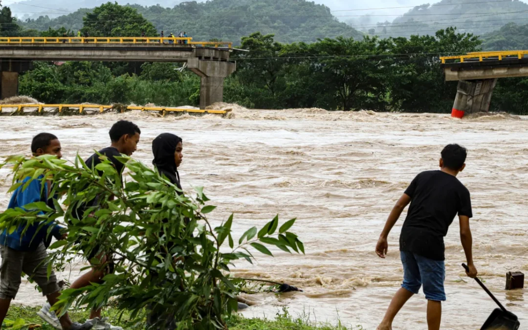 Cuatro personas fallecidas en Honduras y Nicaragua tras el paso de la tormenta tropical Sara. Honduras fue el país más afectado con más de 200 viviendas destruidas, y unas 3200 dañadas