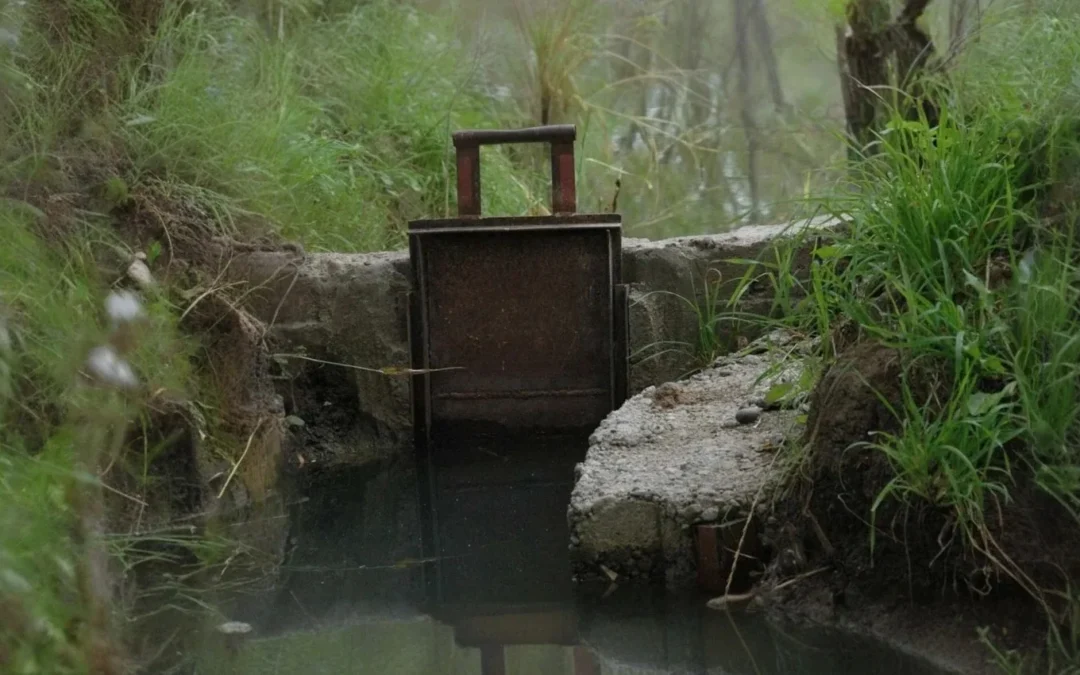 Productor reclamó falta de control en los turnos de riego de Nonogasta, ante la difícil situación por la falta de agua