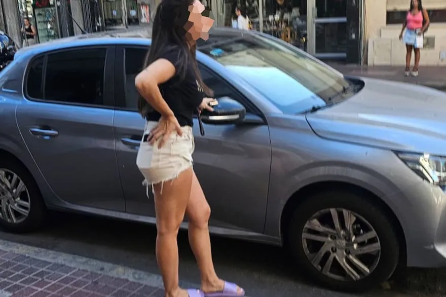 Rosario: una mujer olvidó a su perro adentro del auto, y se le murió por las altas temperaturas. Su abogado expresó que se trata de un hecho culposo, y que «no hay que pedir cárcel en estos casos»