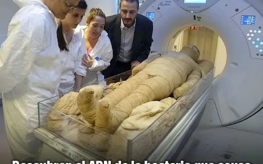 Descubren el ADN de la bacteria que causa la peste negra en momia egipcia de 3.700 años