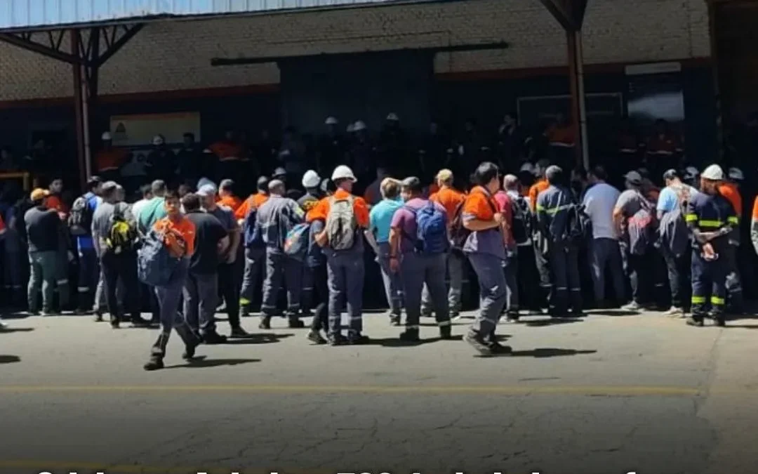 Crisis en Acindar: 700 trabajadores fueron suspendidos y la menor producción histórica en 2024