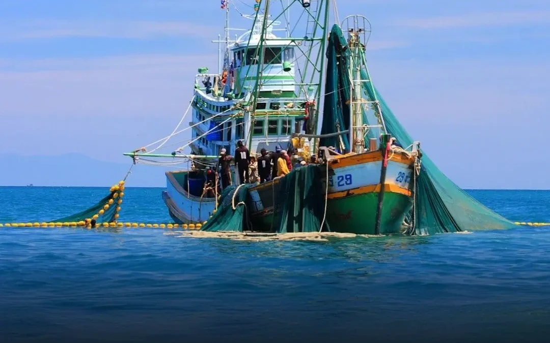 Pesca argentina sufre caída histórica del 43,5% en octubre, pese a leve repunte mensual