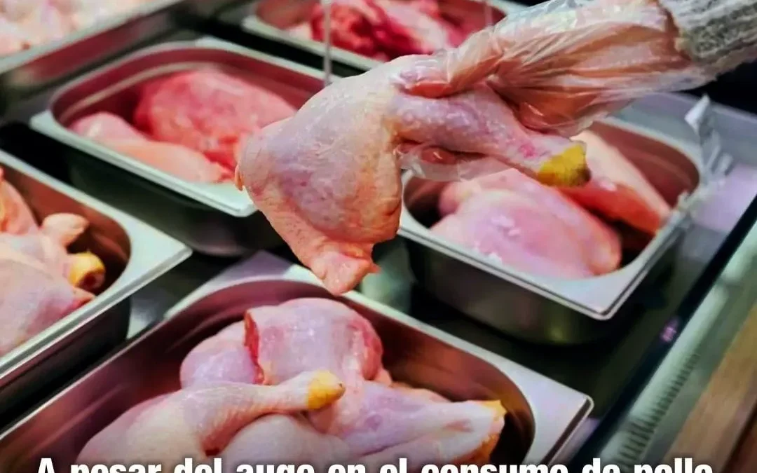 A pesar del auge del consumo de pollo, una de las principales productoras solicita despidos masivos o recorte salarial del 21% para enfrentar sobrecostos